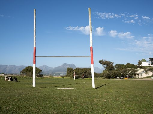 Sport In South Africa